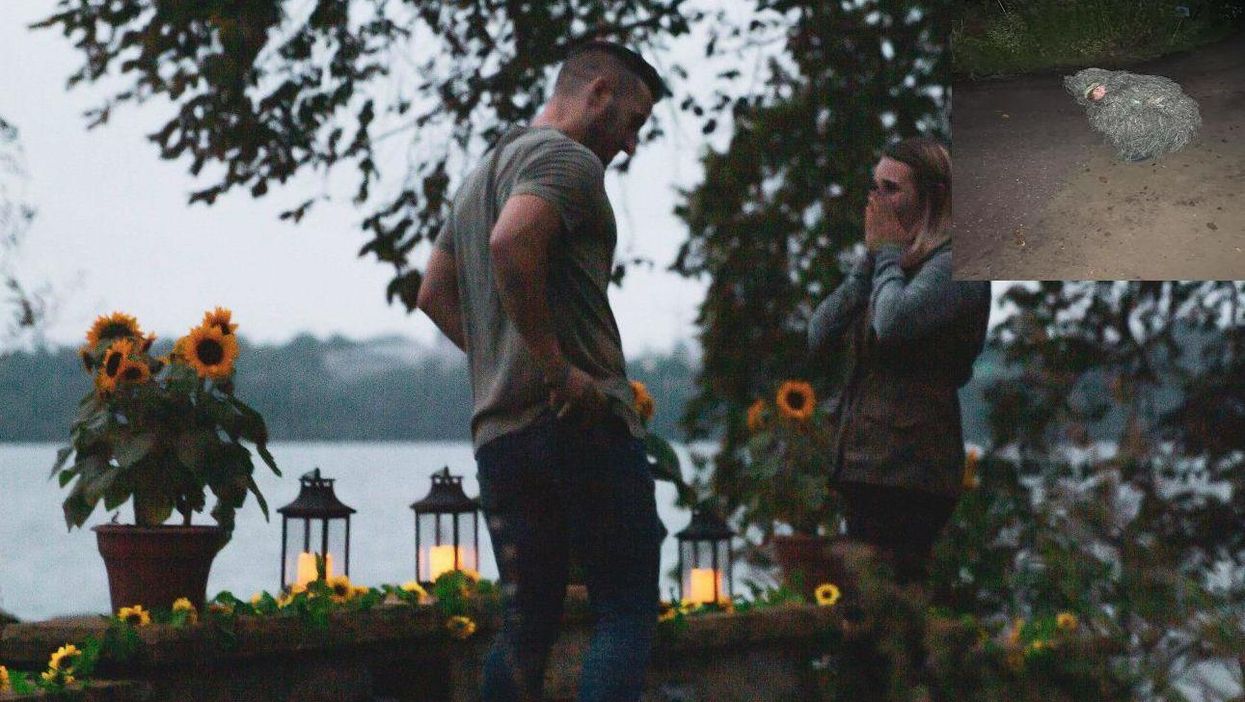 Woman goes viral after dressing as bush to capture sister's engagement (Twitter / @theresemerkel)
